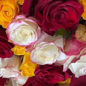 Meet your Posher, Marina